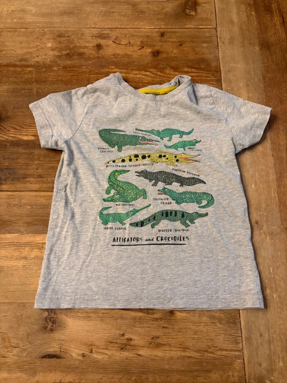 Mini Boden Boys 9-10Y Gray Alligators & Crocodiles Graphic Tee